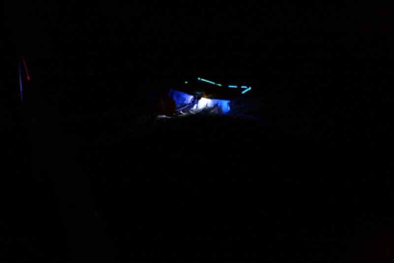 hcrcmnitefly080021