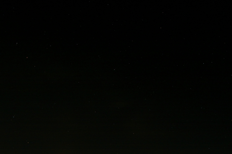 hcrcmnitefly080031