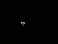 hcrcmnitefly080016