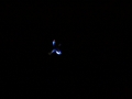 hcrcmnitefly080019