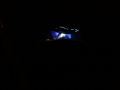 hcrcmnitefly080021