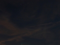 hcrcmnitefly080024