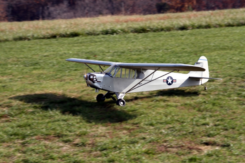 cub5