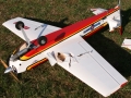 midairwingdamage