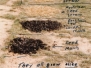 Old Field Photos - the beginning