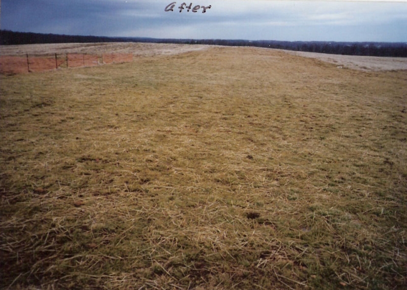photo8