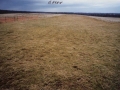 photo8