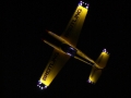 020-XFC08pitviper510598